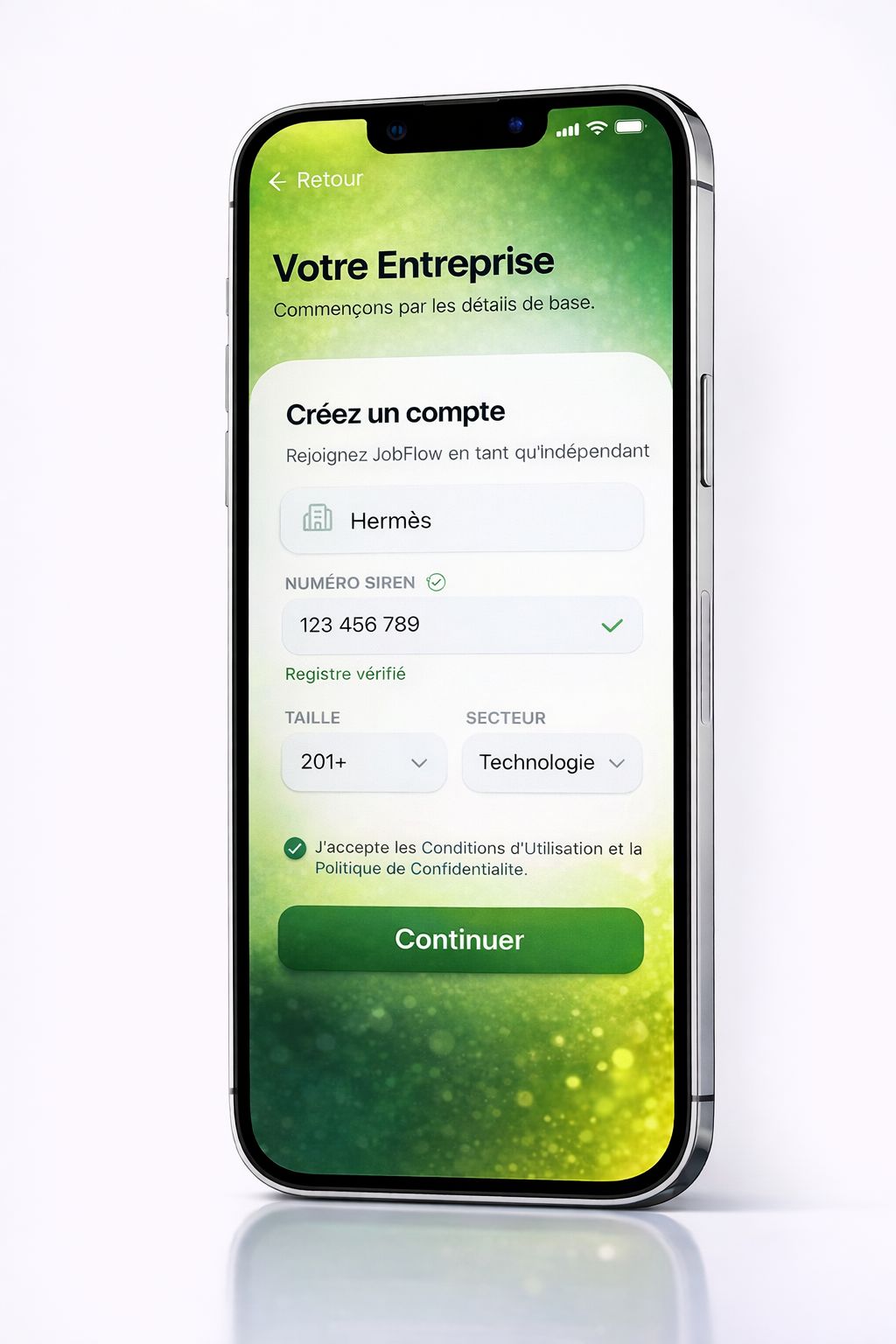 Écran expérience professionnelle